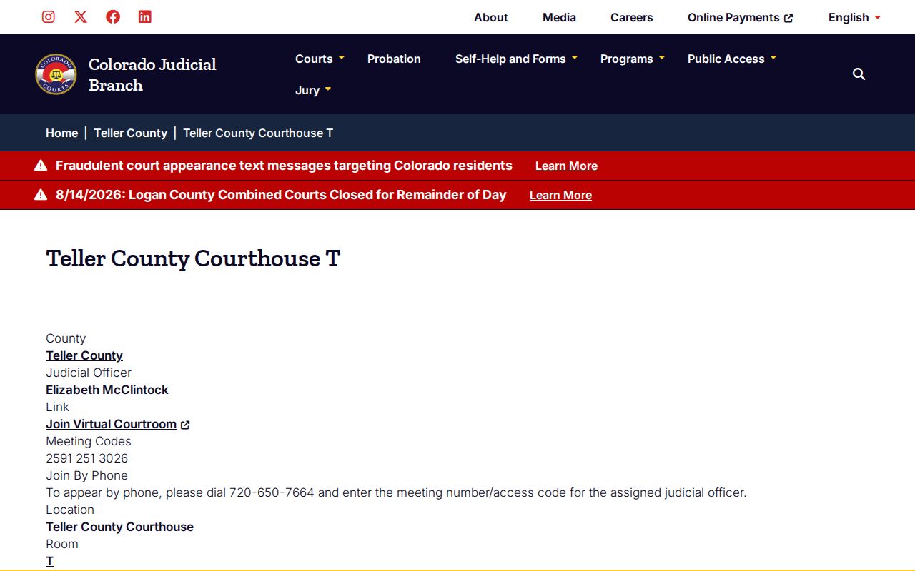 Teller County court calendar Division T virtual courtroom